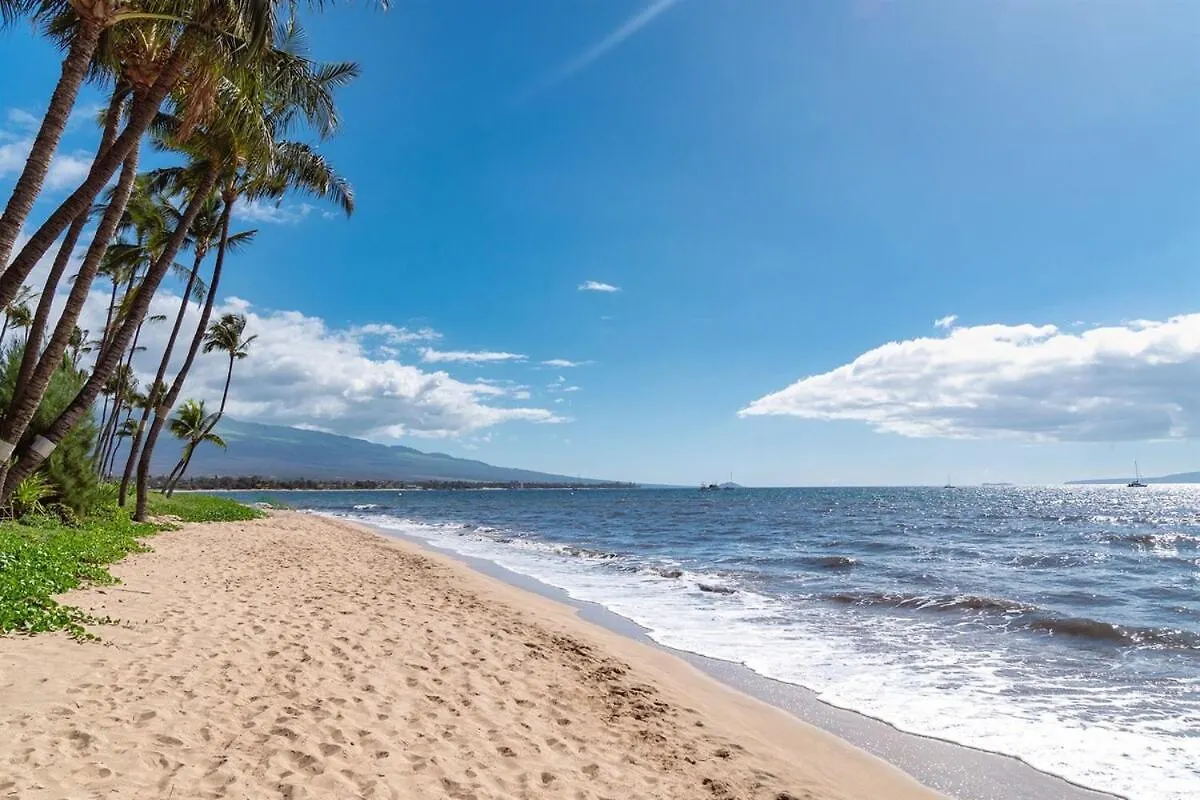 Chic Beachfront Condo— Newly Remodeled — 2024 Kihei Casa vacanze